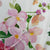 Cotone sally white 