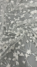 Pizzo dream 