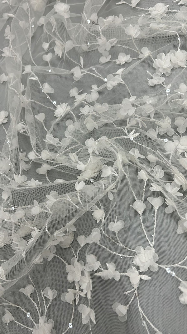 Pizzo dream 