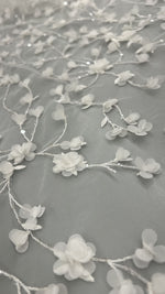 Pizzo dream 